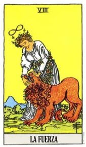 card-12
